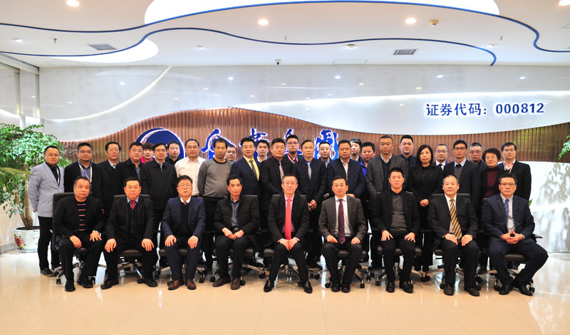 金葉集團(tuán)2018年工作總結(jié)暨2019年工作計(jì)劃會(huì)議順利召開(kāi)